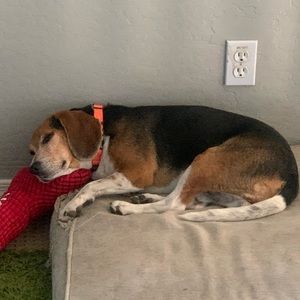 Meet your Posher, Luis